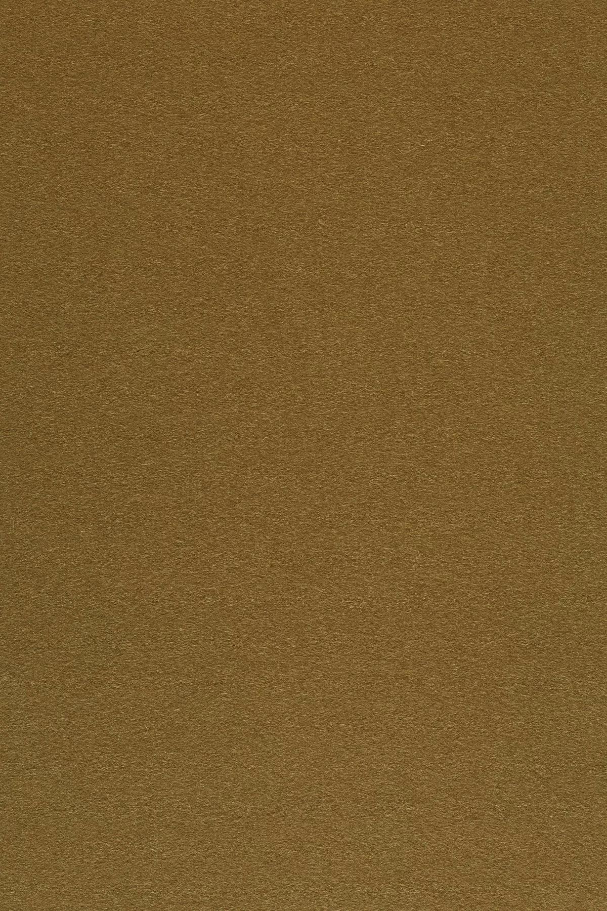 Fabric sample Divina 3 346 brown