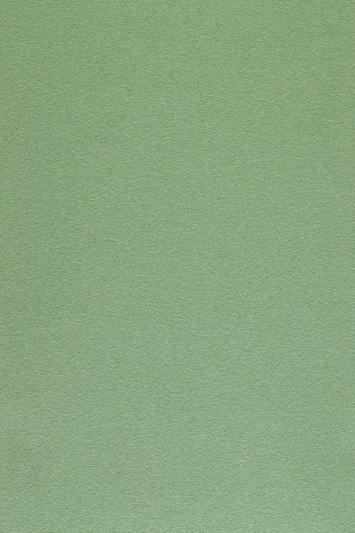 Fabric sample Divina 3 856 green