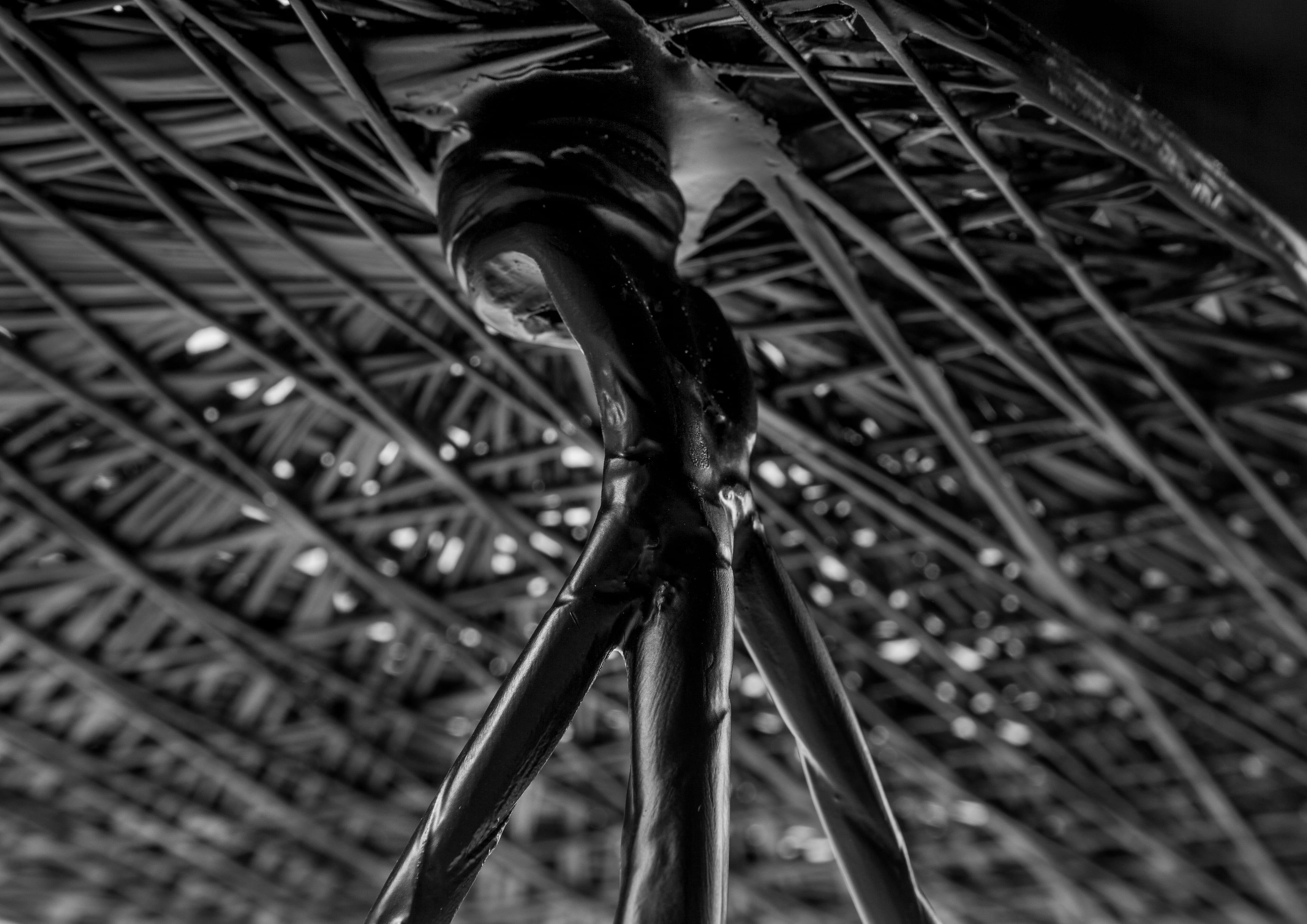 Moooi Carbon Detail Shot