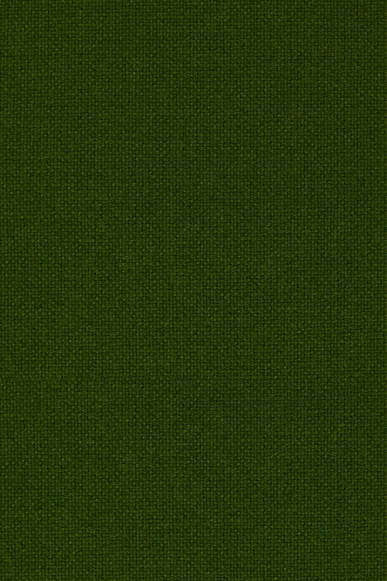 Fabric sample Hallingdal 65 960 green