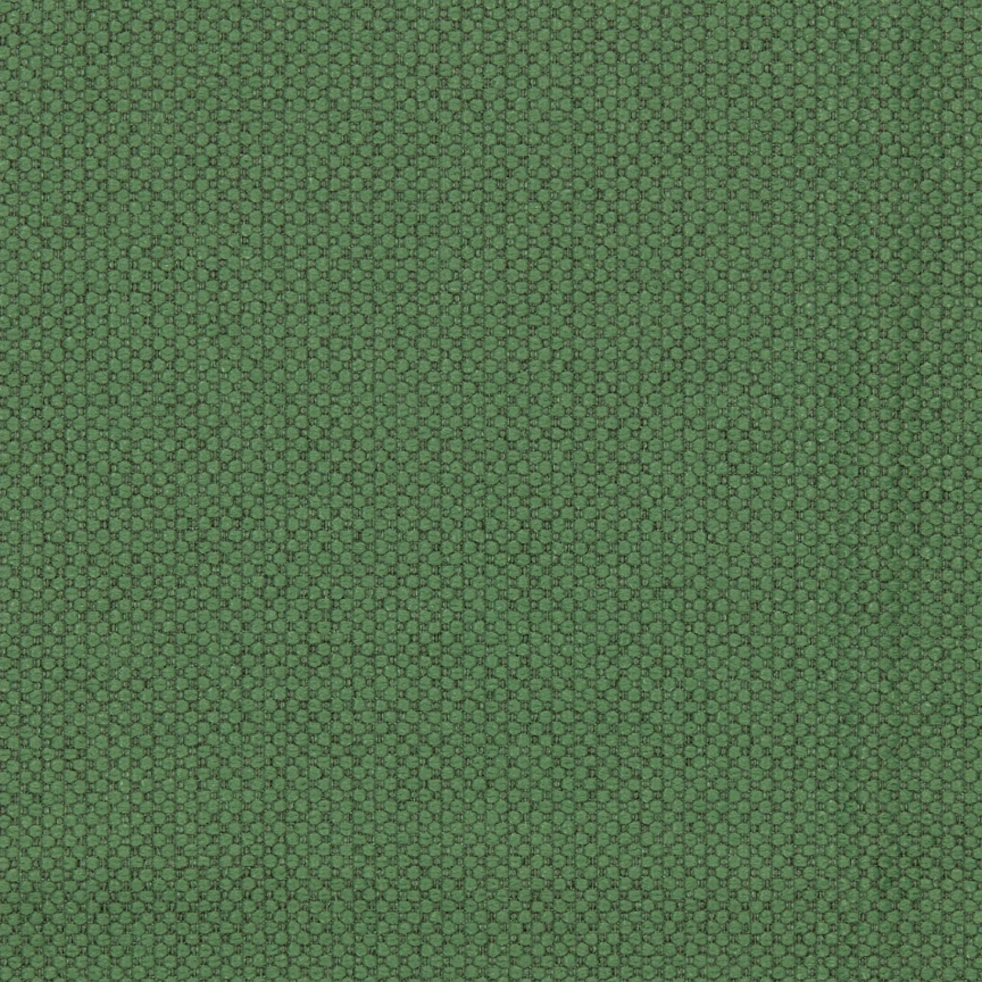 Fabric sample Merit 0020 green