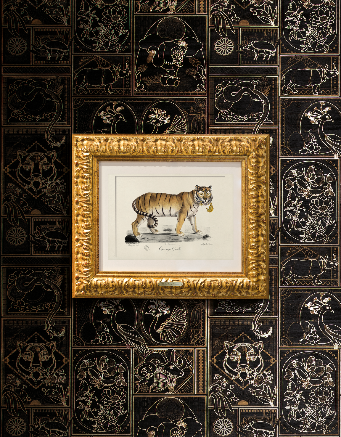 Golden Tiger Wallcovering with drawing of animal in frame