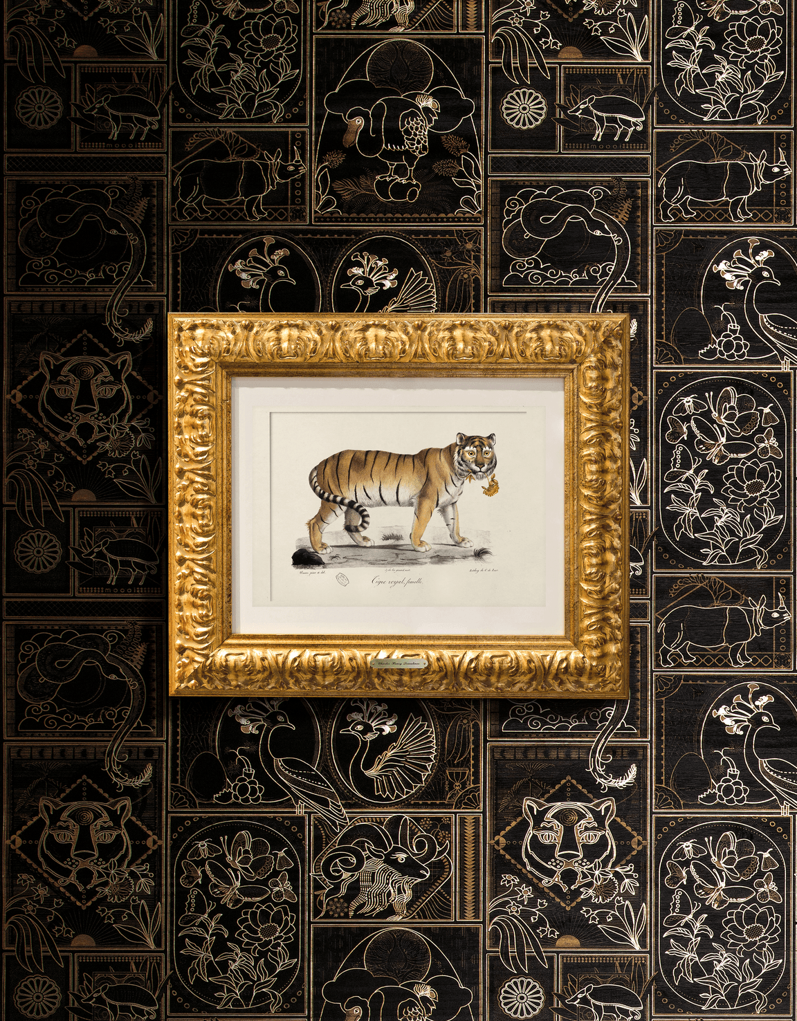 Golden Tiger Wallcovering with drawing of animal in frame