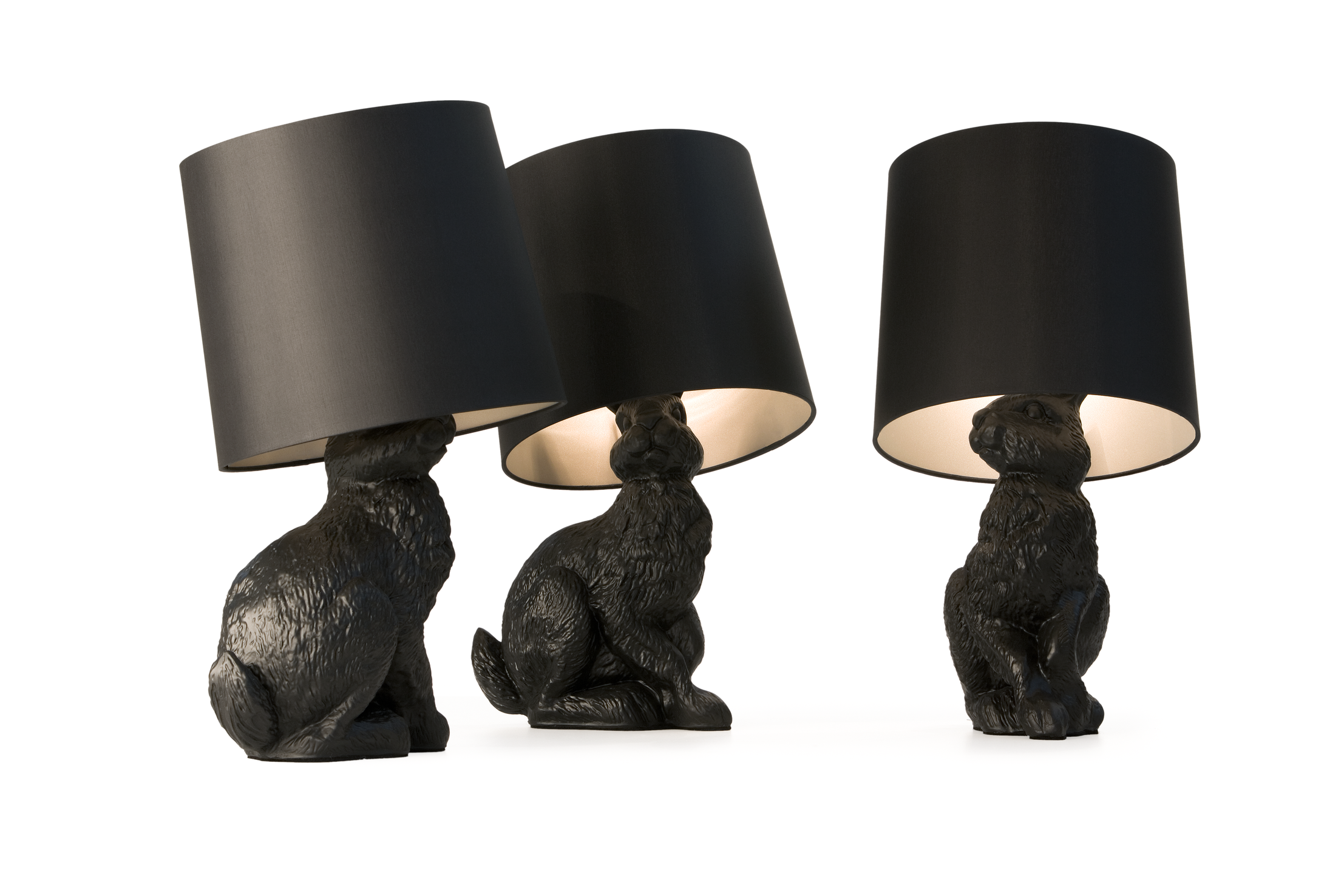 Rabbit lamp group with different point of view