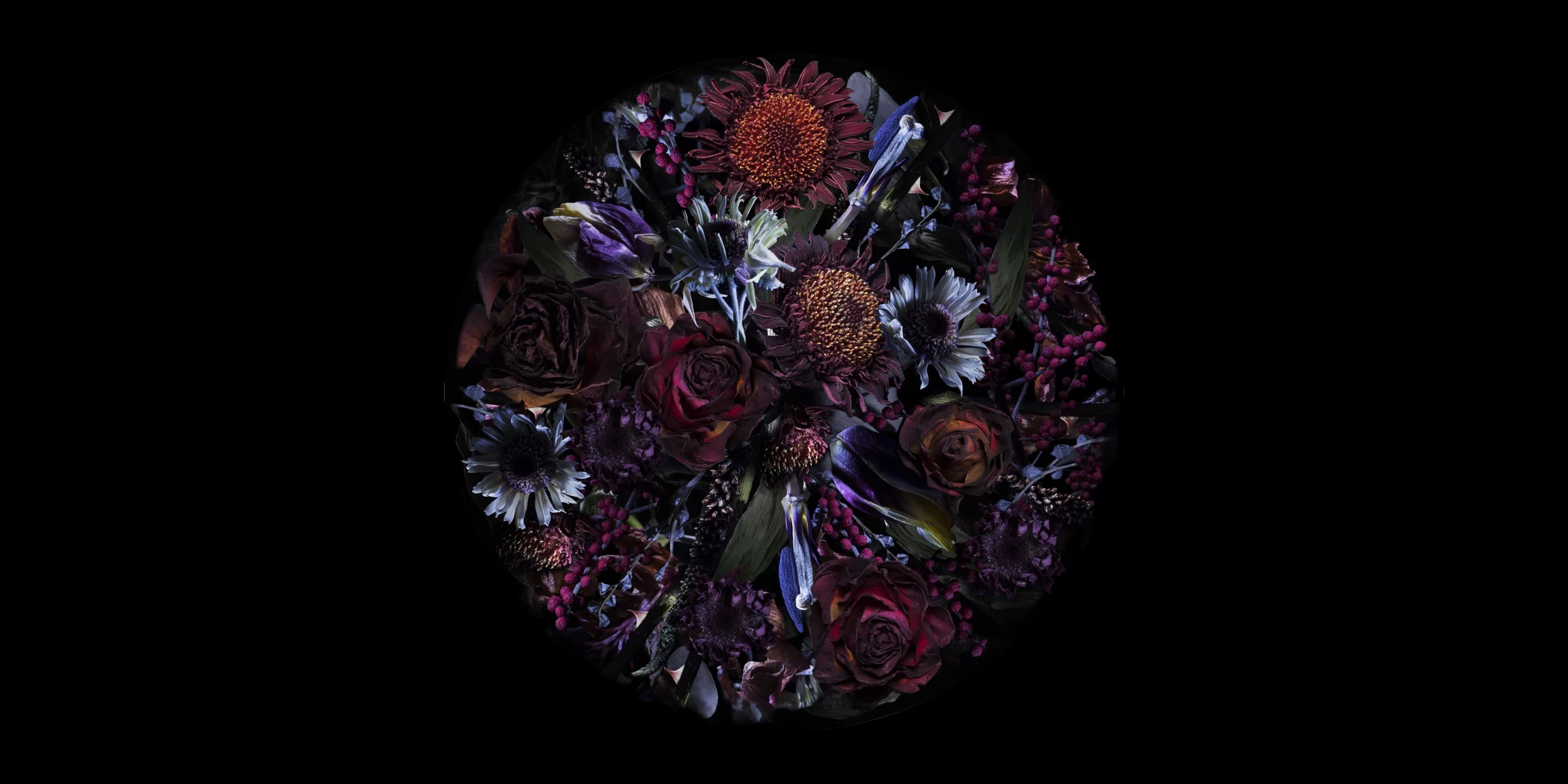 Carpet Fools Paradise Round