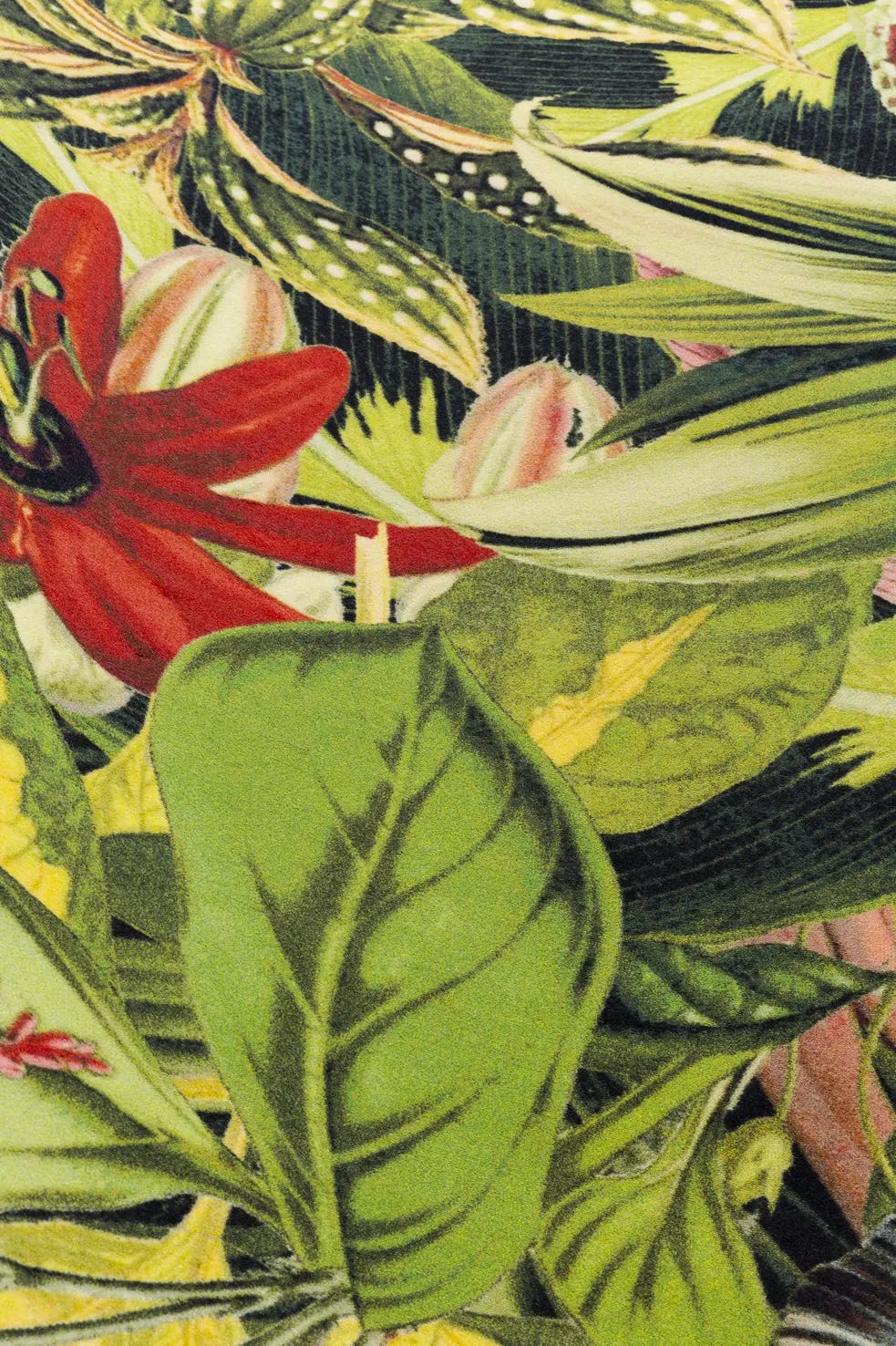 Carpet Herbarium of Extinct Plants detail 2