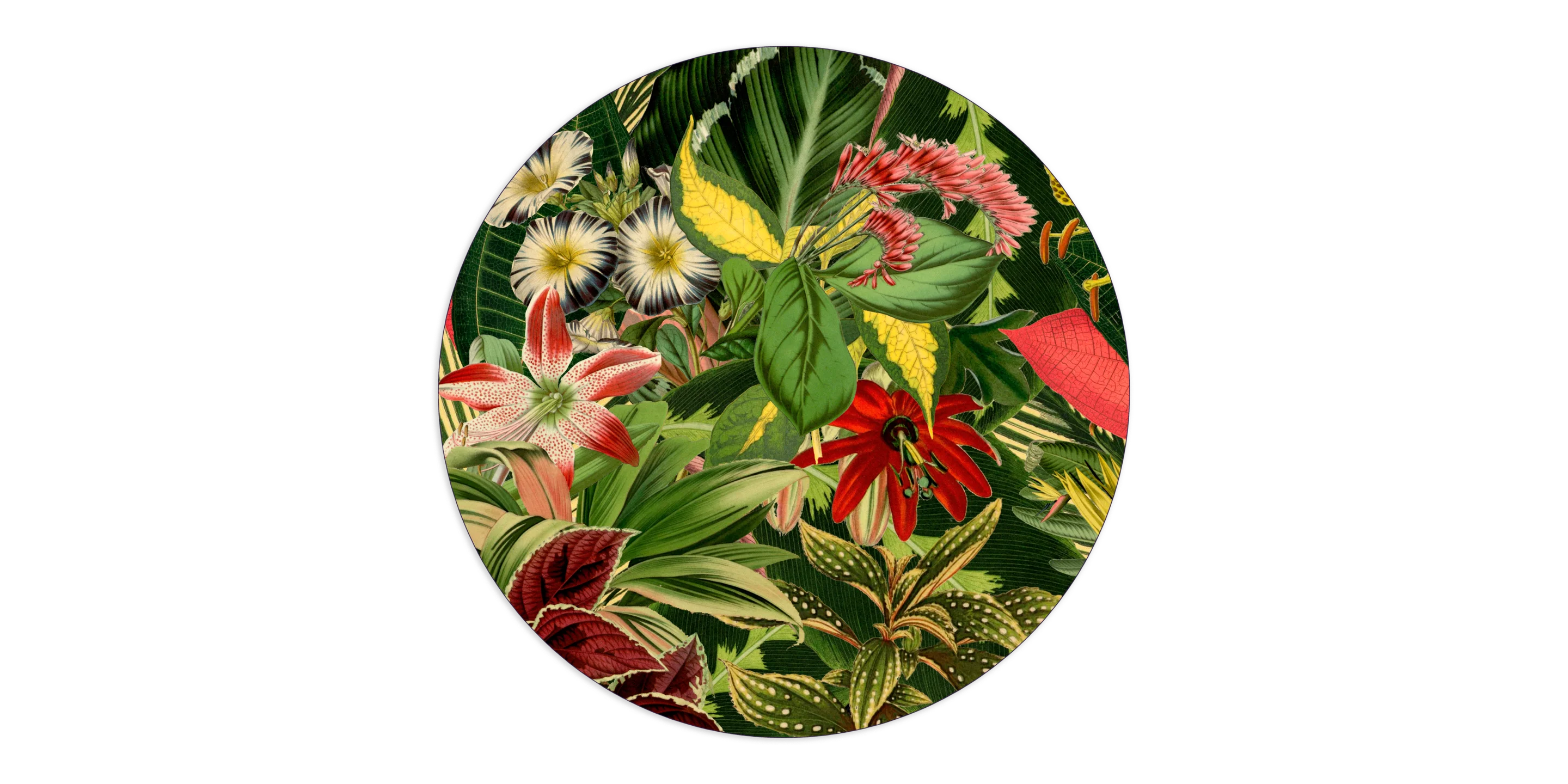 Carpet Herbarium of Extinct Plants round 250