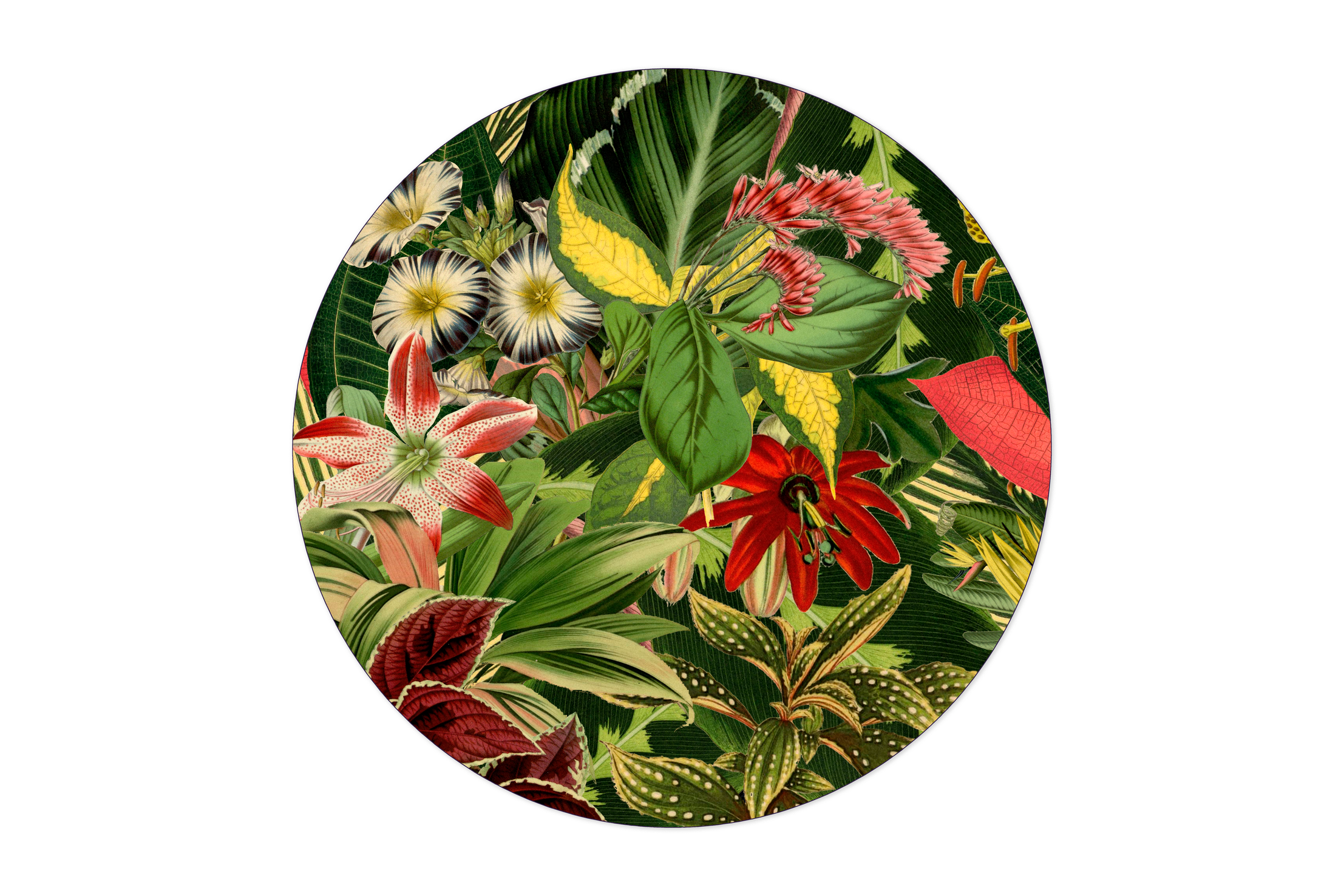 Carpet Herbarium of Extinct Plants round 250