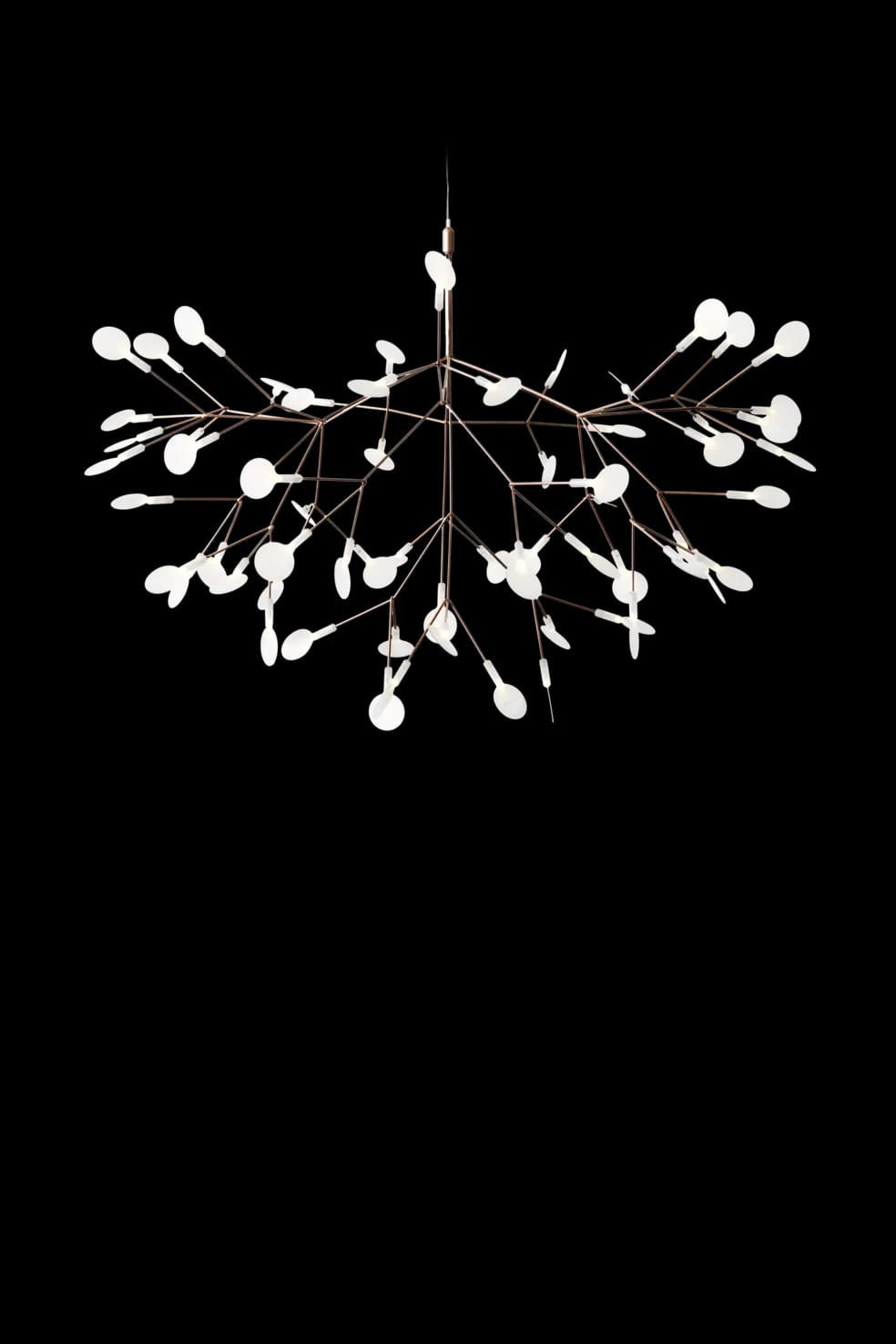 Front view Heracleum Suspended Copper