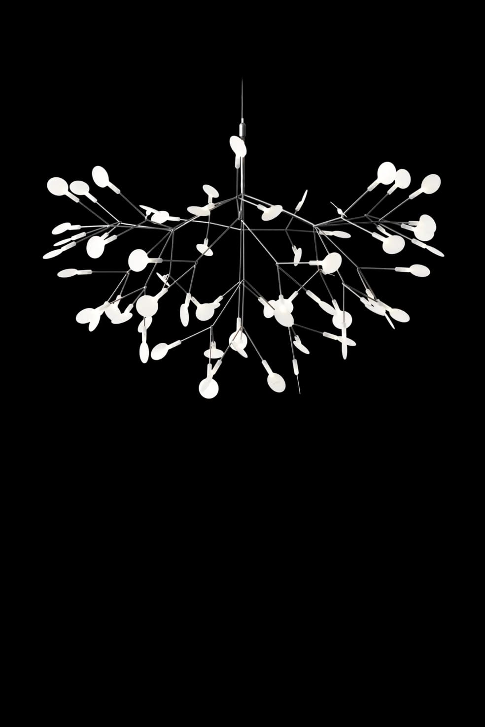 Front view Heracleum Suspended Nickel