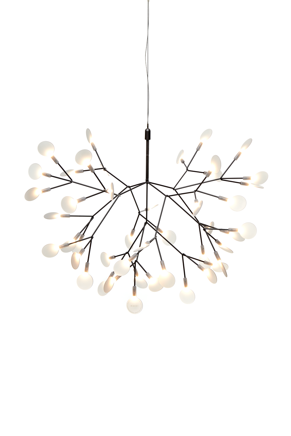 Heracleum II Small suspension light Nickel front side