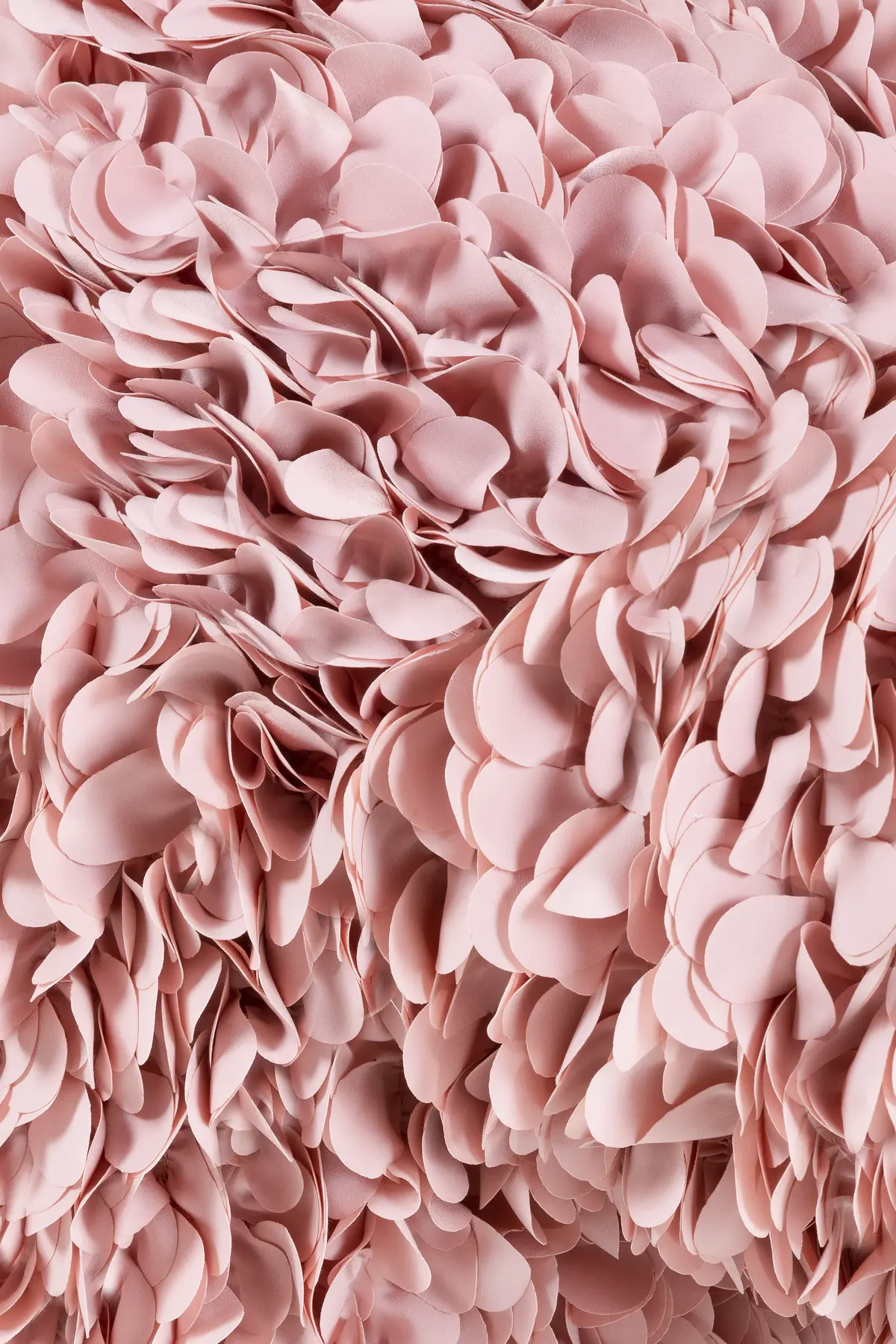 Hortensia Petal Pink
