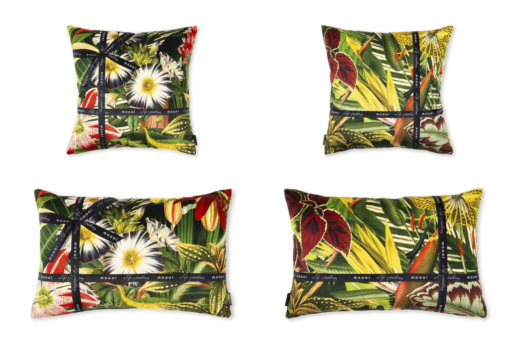Pillow Herbarium of Extinct Plants collection front and back