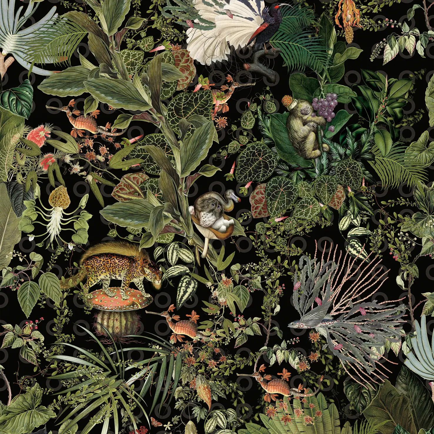 Moooi Wallcovering Menagerie of Extinct Animals raven
