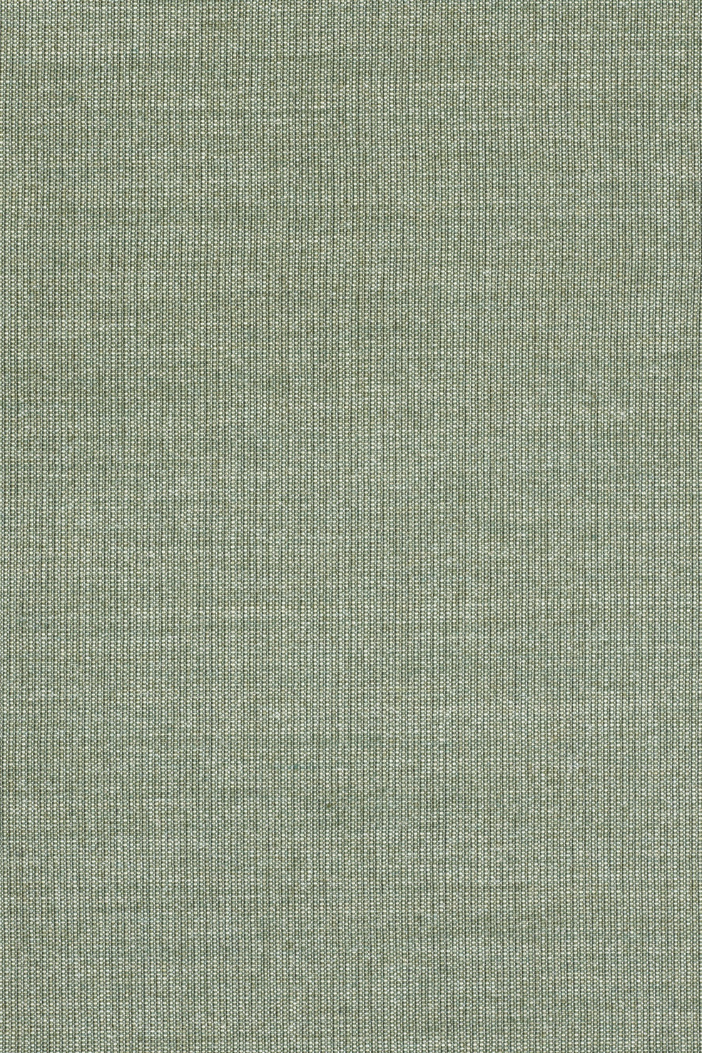 Fabric sample Canvas 2 926 green