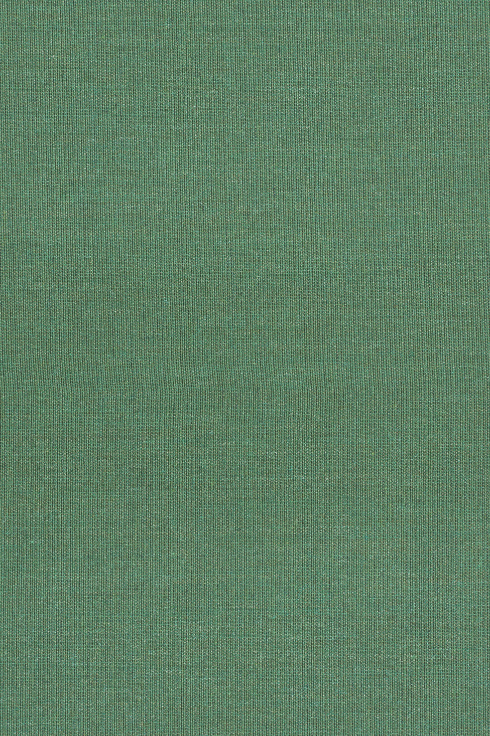 Fabric sample Canvas 2 946 green