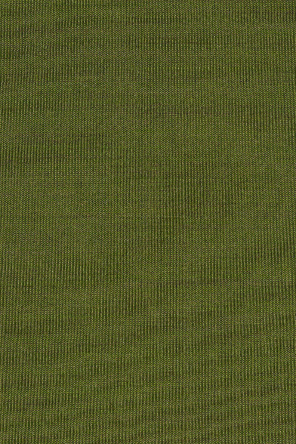 Fabric sample Canvas 2 954 green