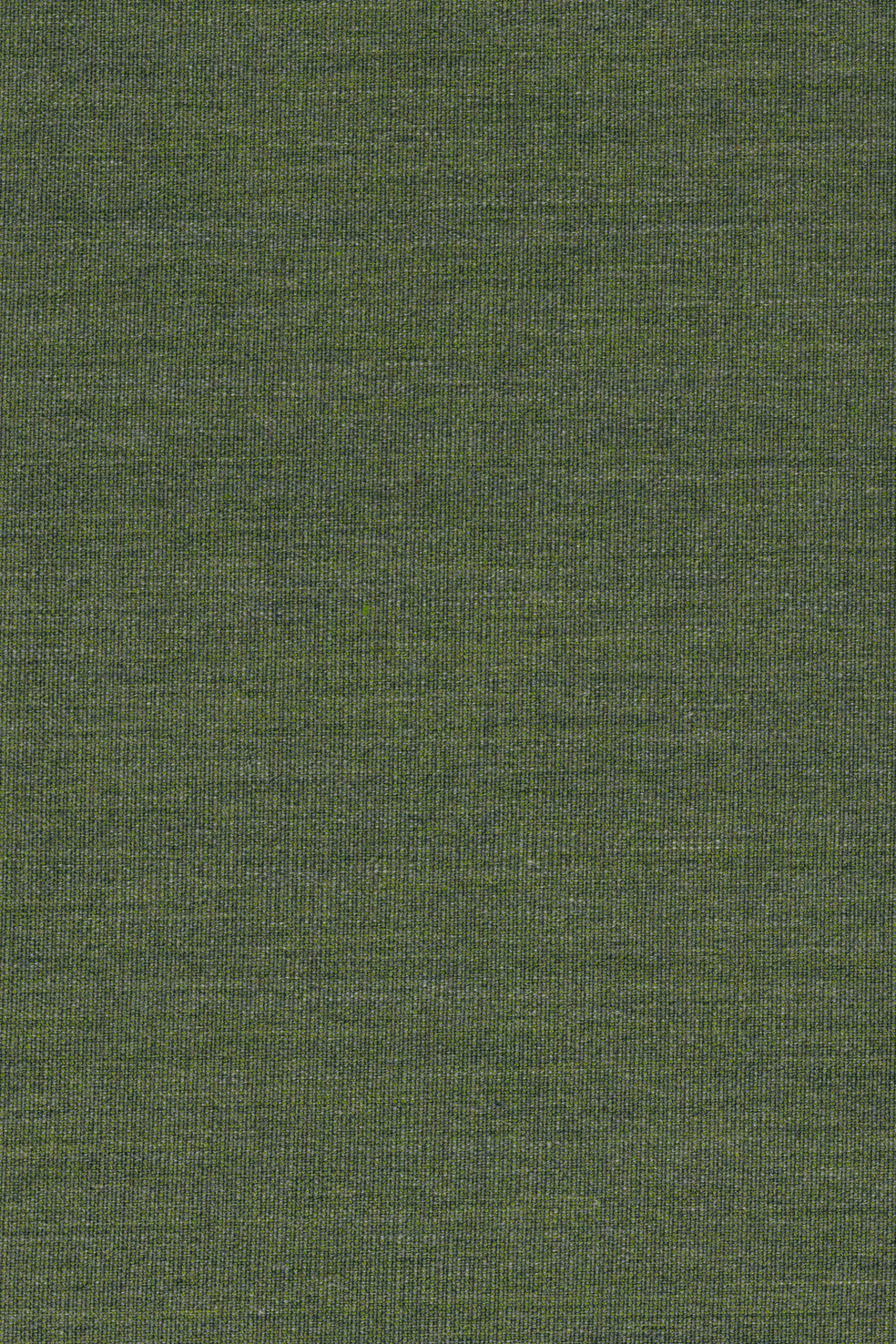 Fabric sample Canvas 2 974 green