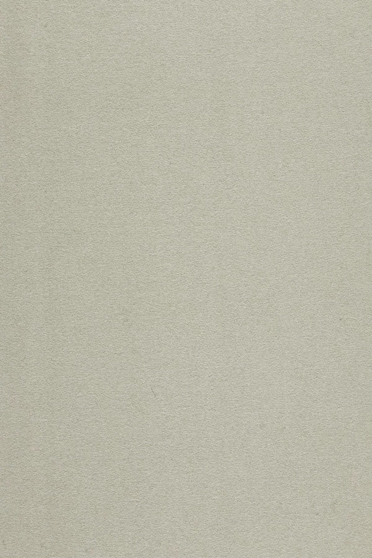 Divina 3, 224 (brown)