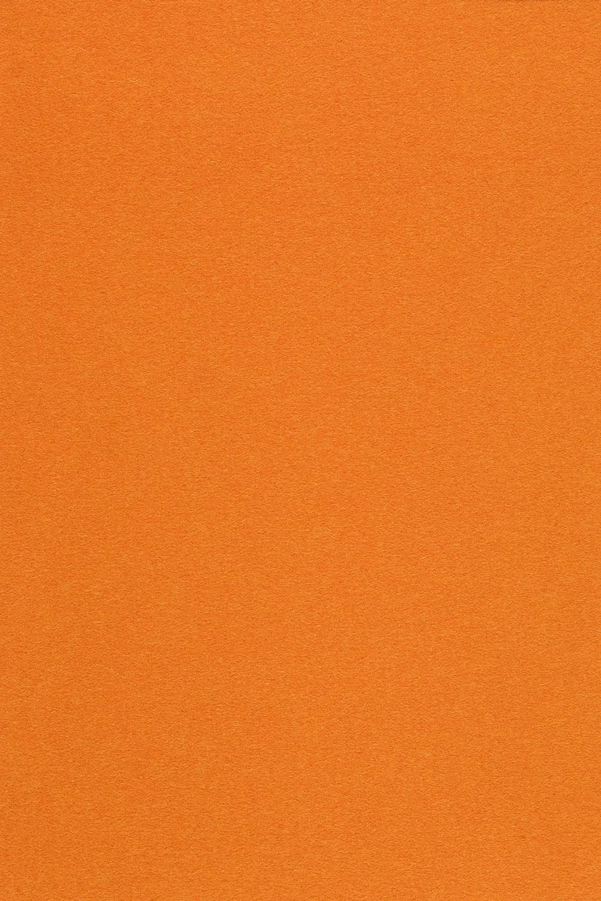 Divina 3, 542 (orange)