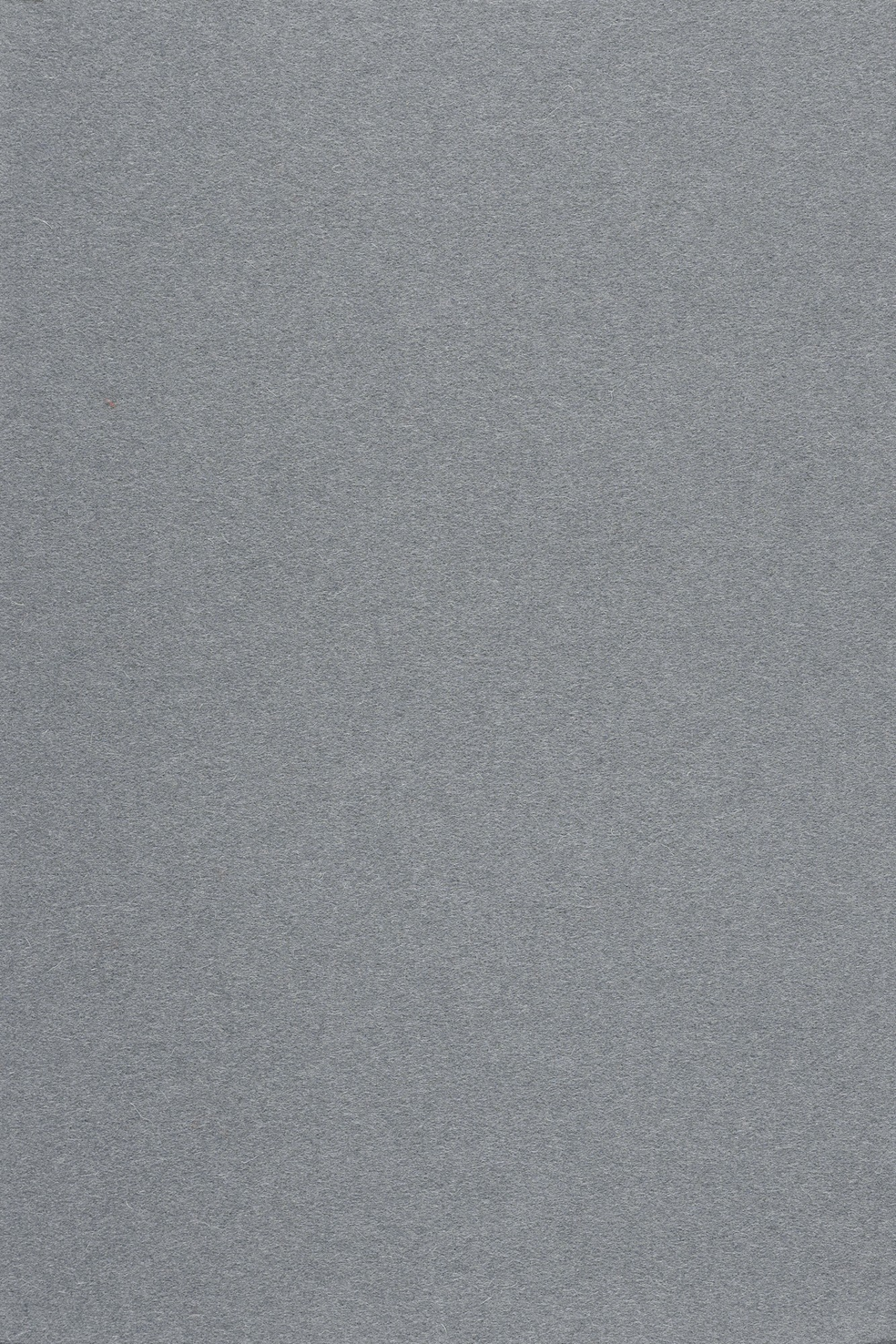 Fabric sample Divina 3 173 grey