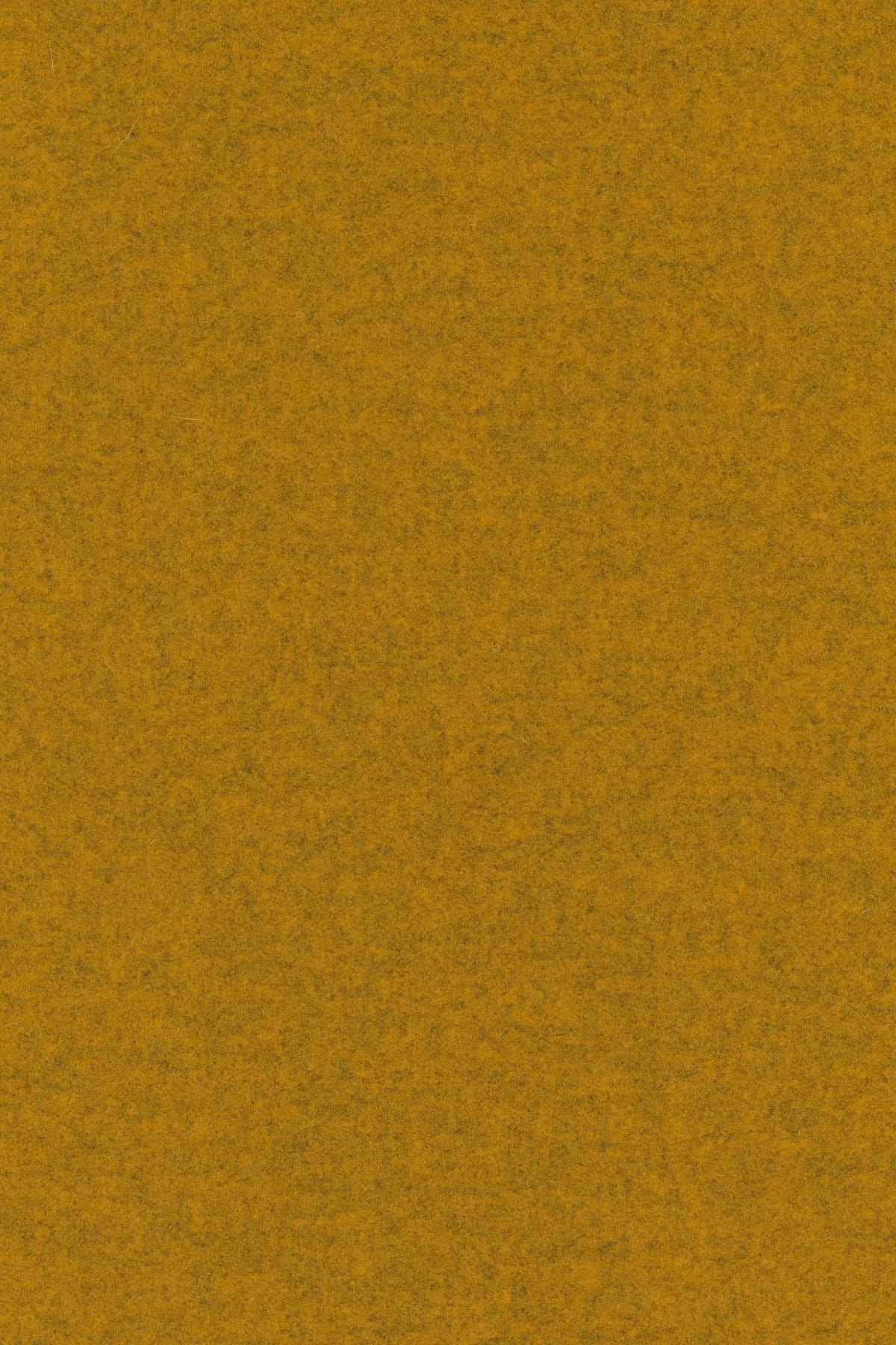 Divina melange 3, 457