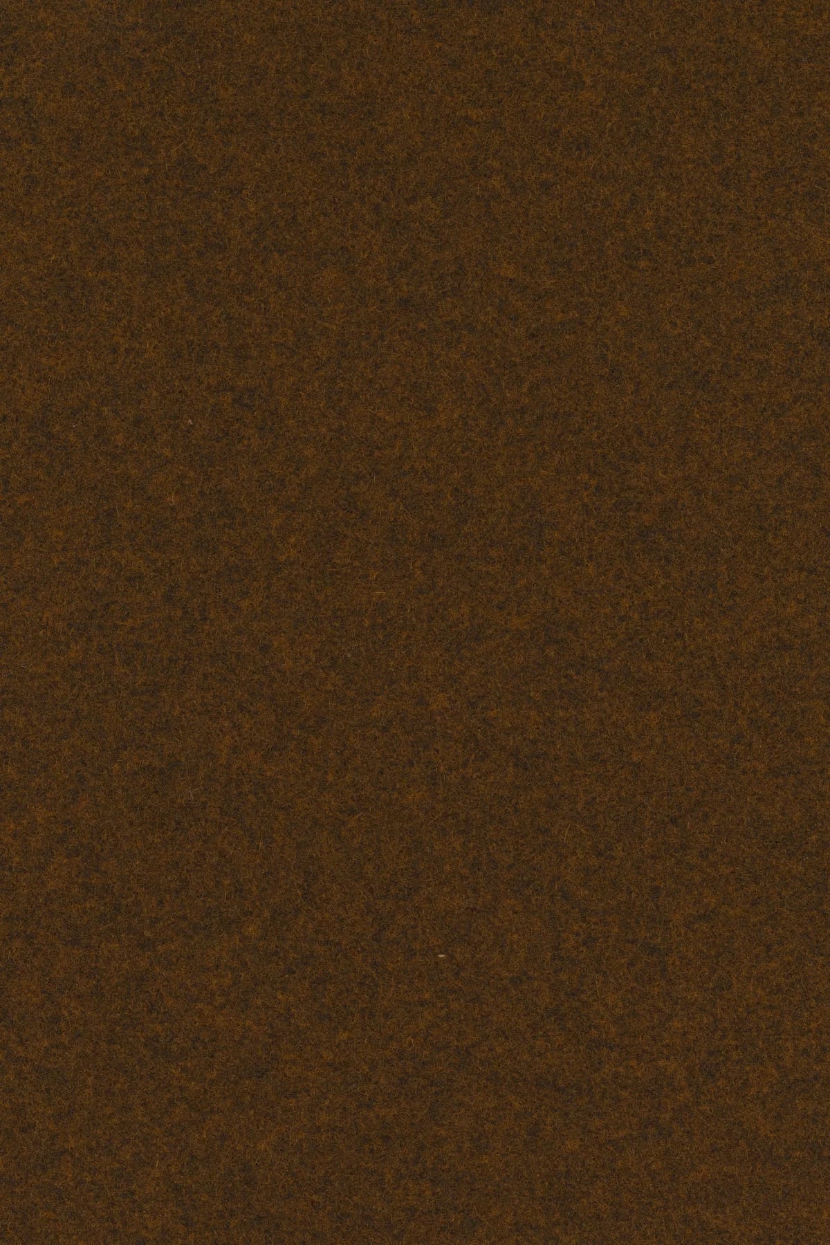 Divina melange 3, 571