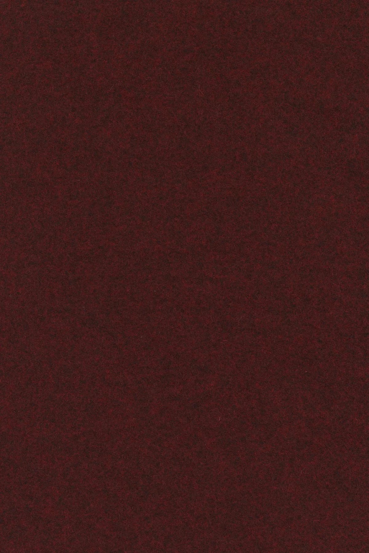Divina melange 3, 597