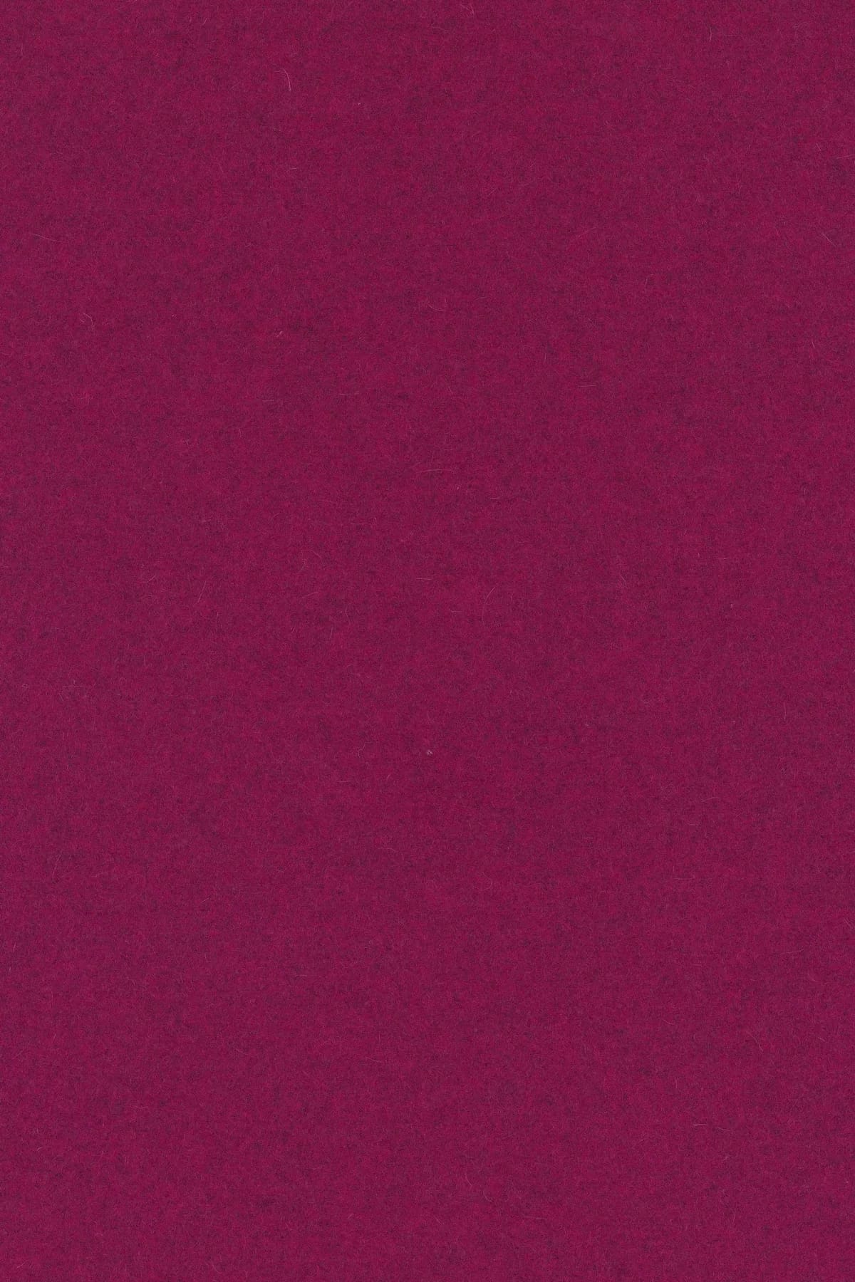 Divina melange 3, 620