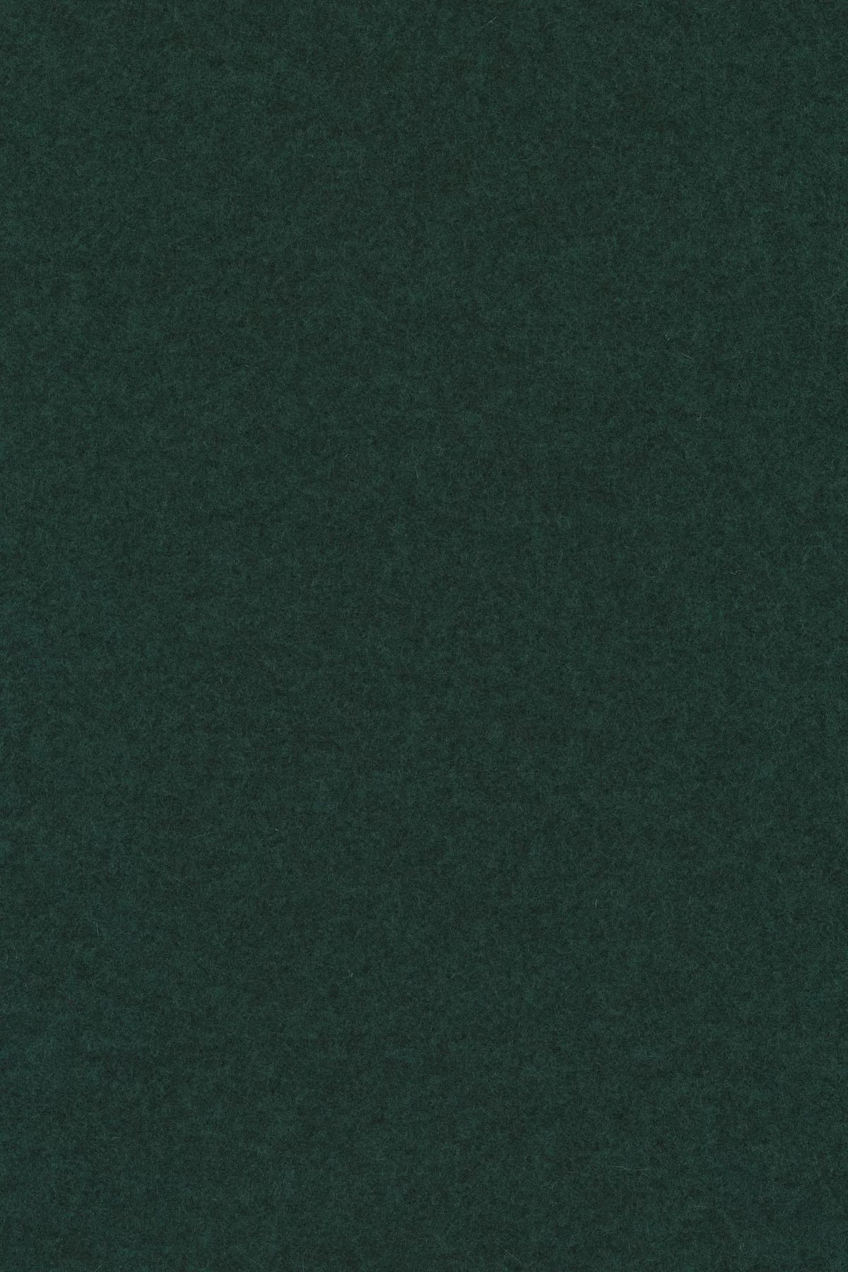 Divina melange 3, 871