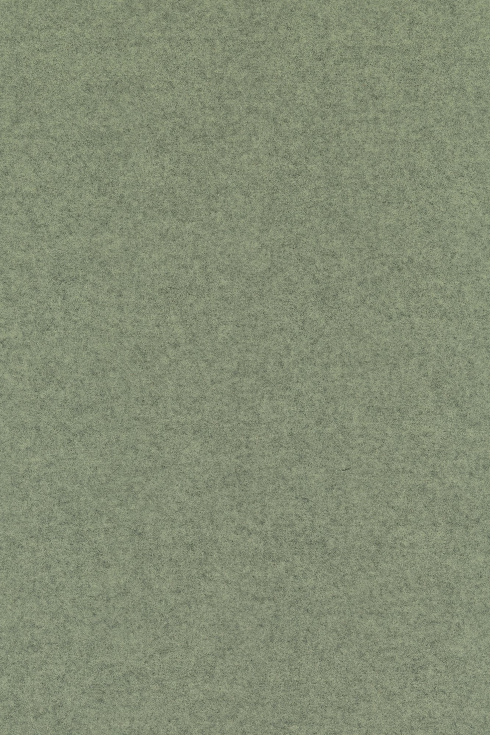 Fabric sample Divina Melange 3 917 green