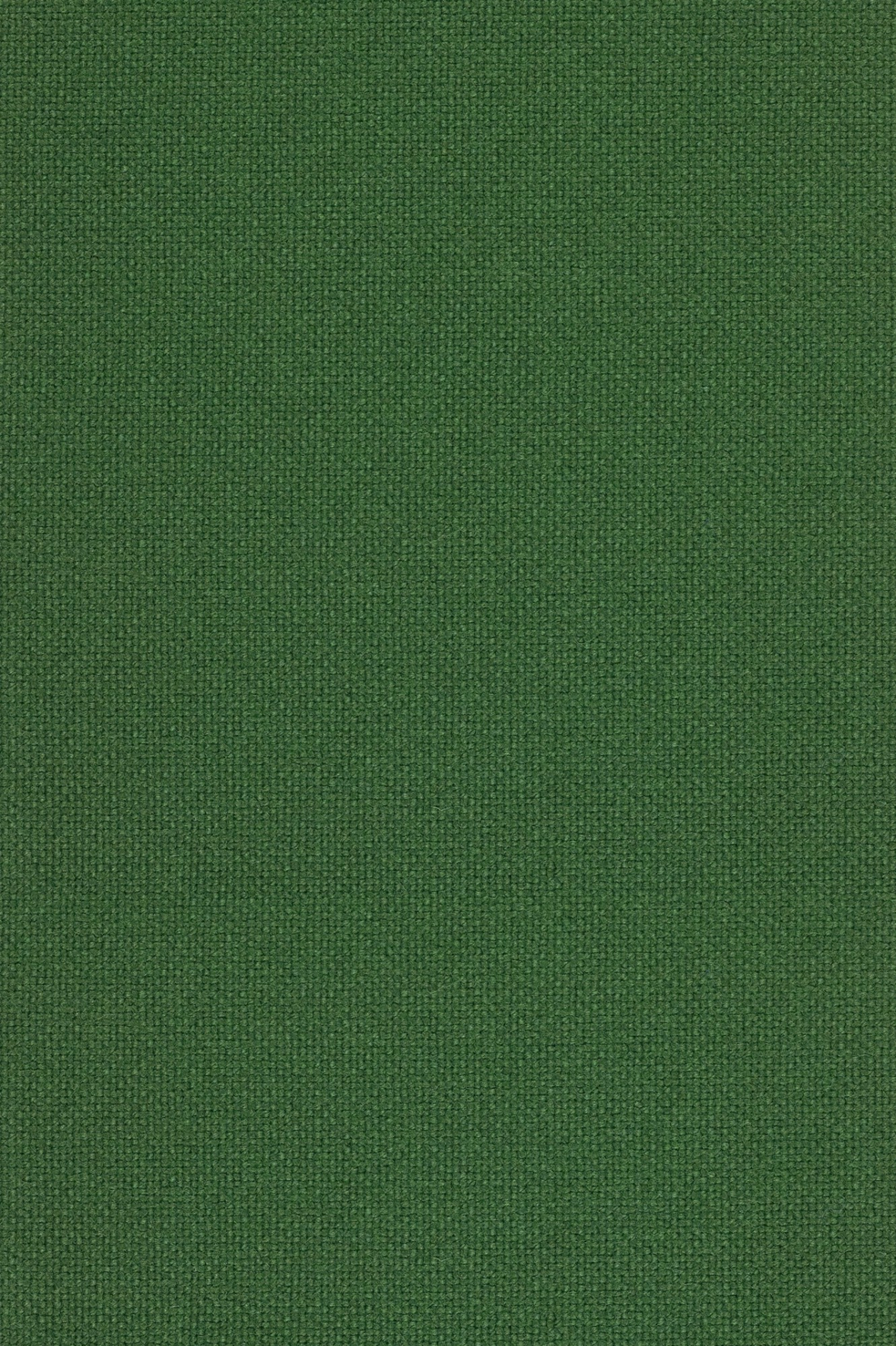 Fabric sample Hallingdal 65 944 green
