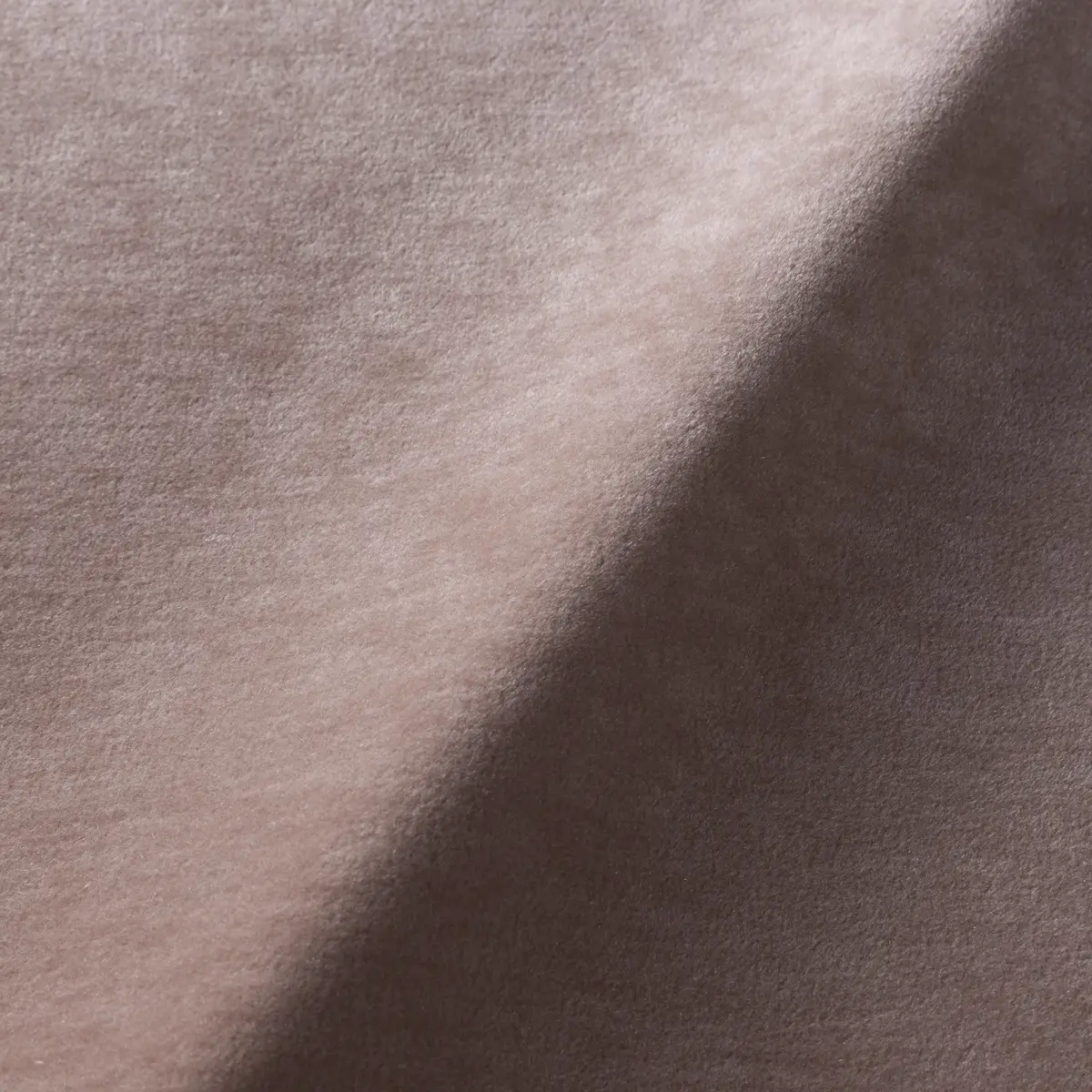 Palette 801- Powder