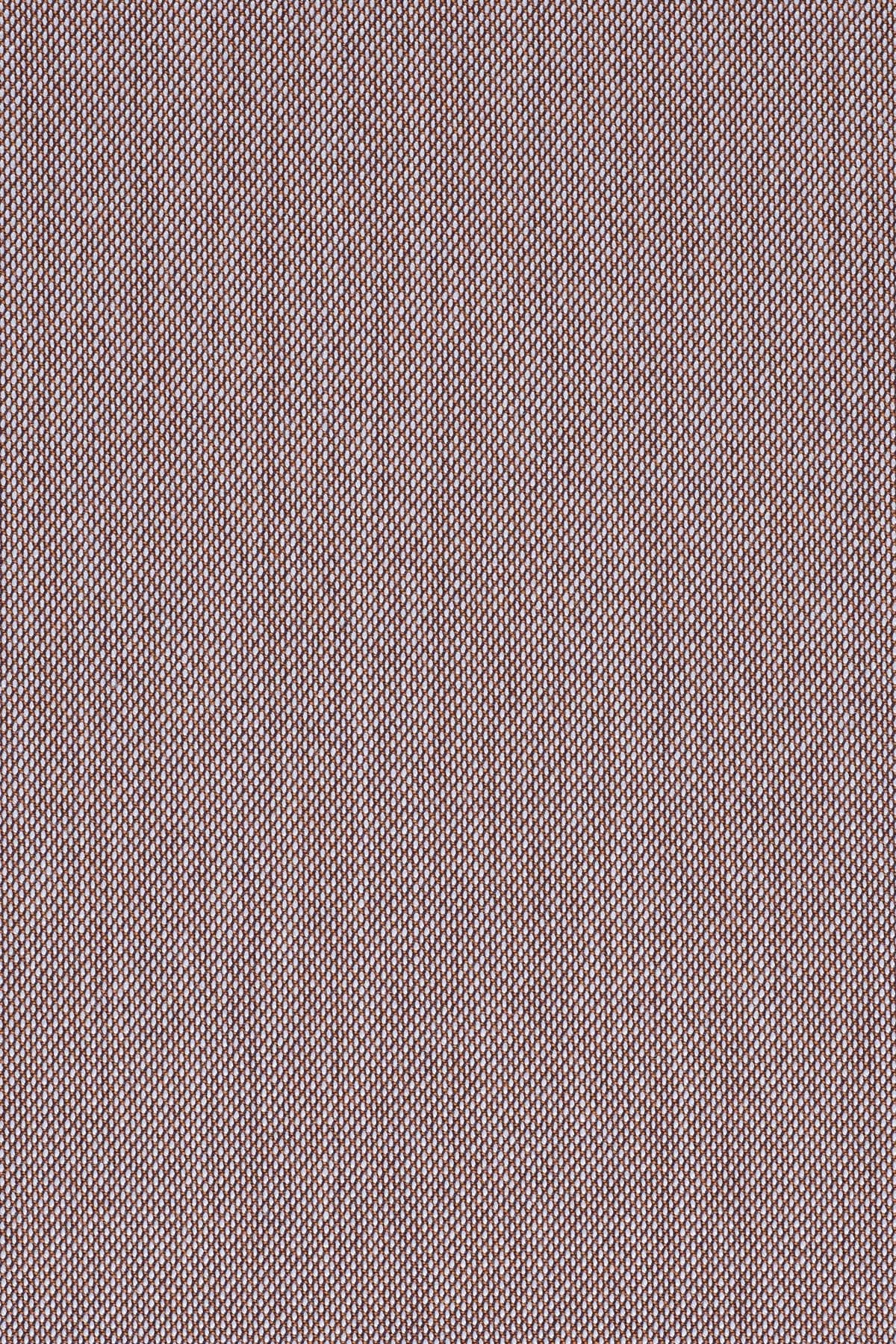 Steelcut Trio 3, 416