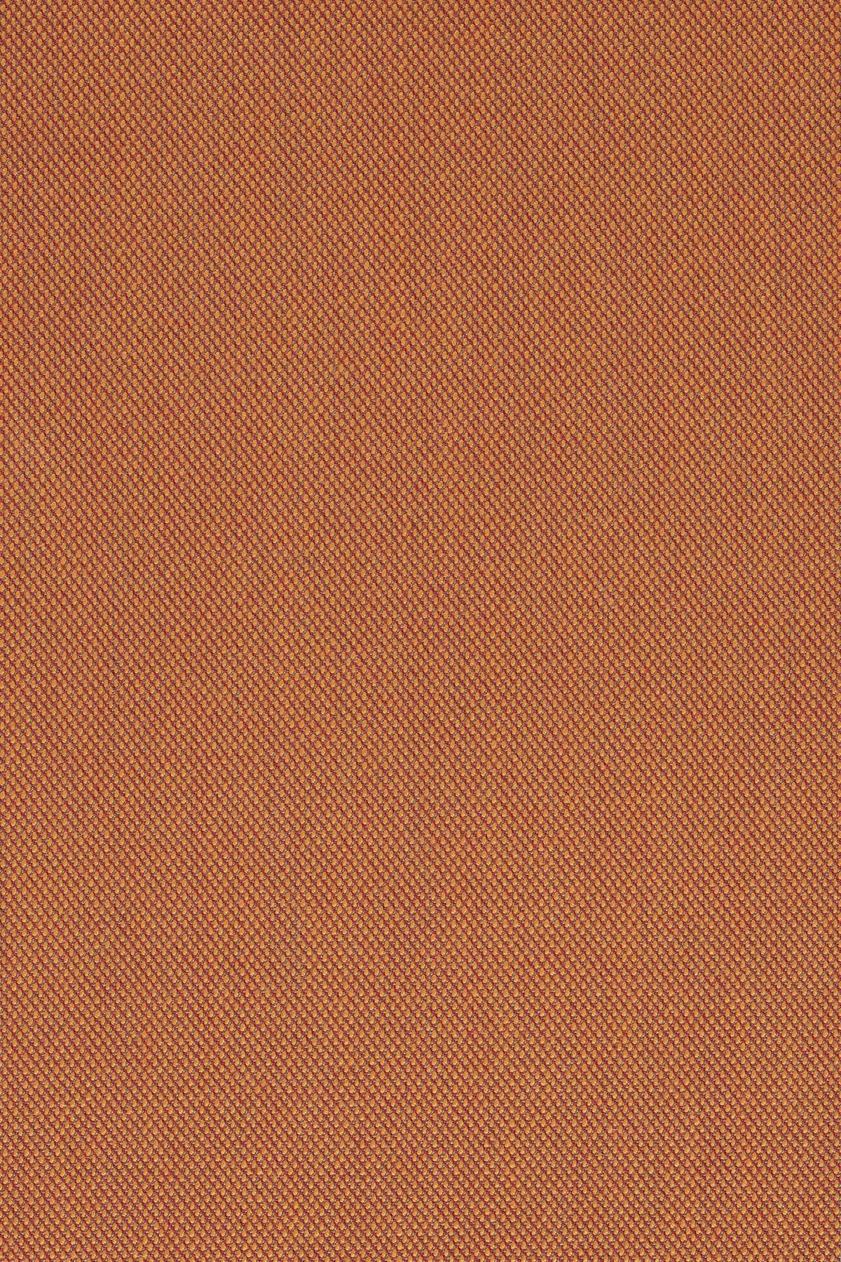 Steelcut Trio 3, 576