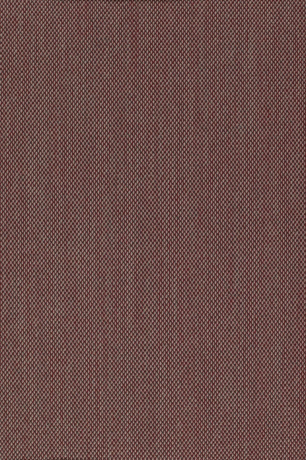 Steelcut Trio 3, 645