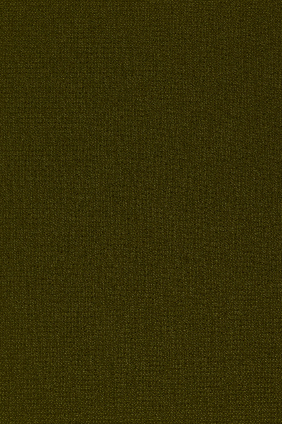 Fabric sample Steelcut 2 985 green