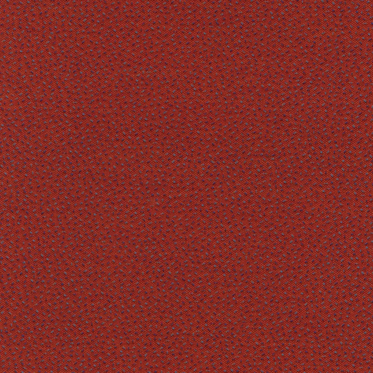 Sprinkles 584