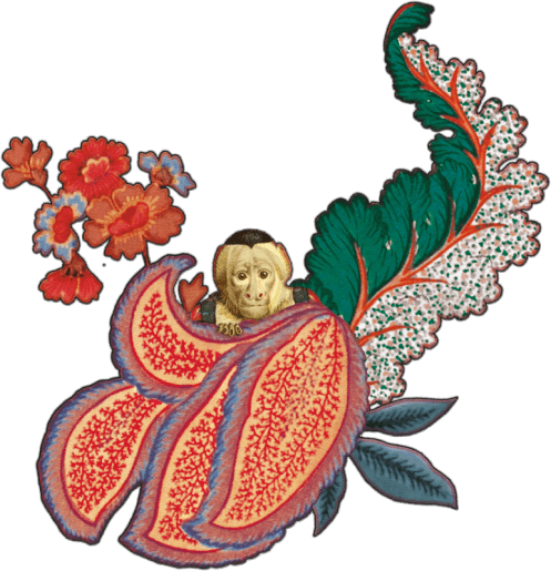 Drawing of monkey in Rendezvous Tokyo Blue