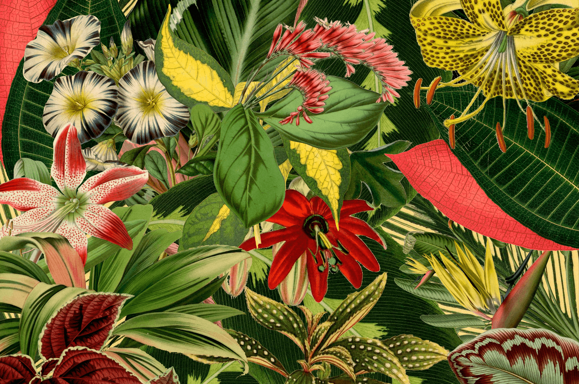 The Lost Archives of Extinct Plants