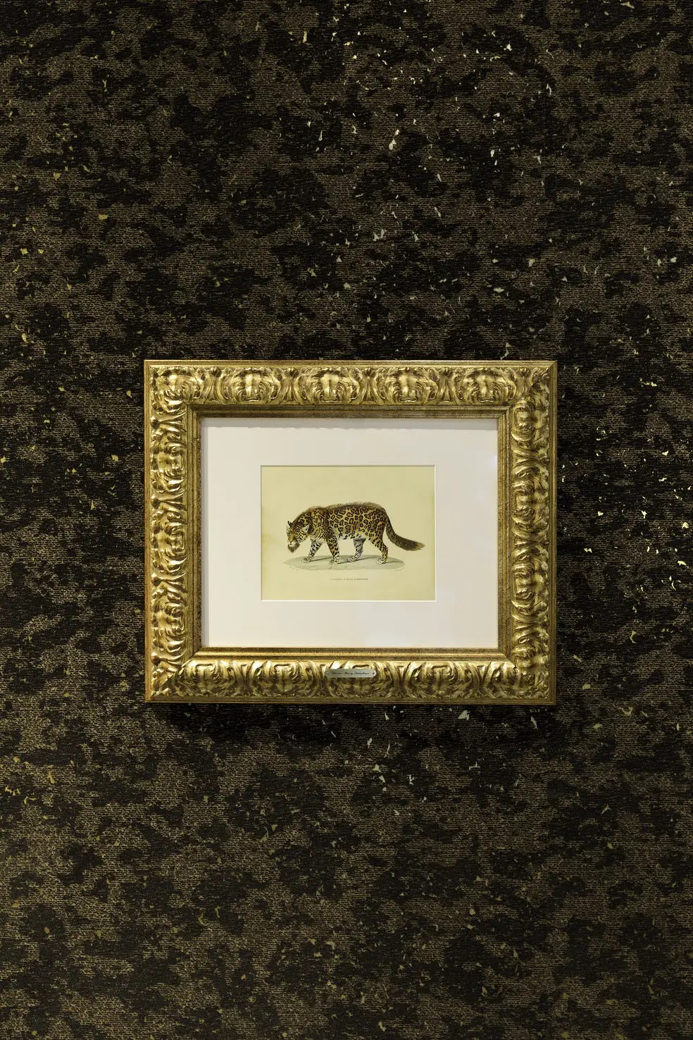 Interior of New York Brandstore 2018 with framed drawing of Bearded Leopard