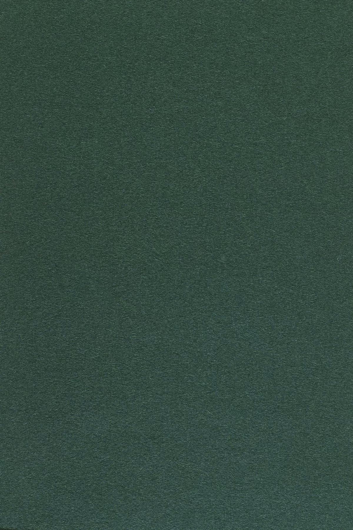 Fabric sample Divina 3 886 green