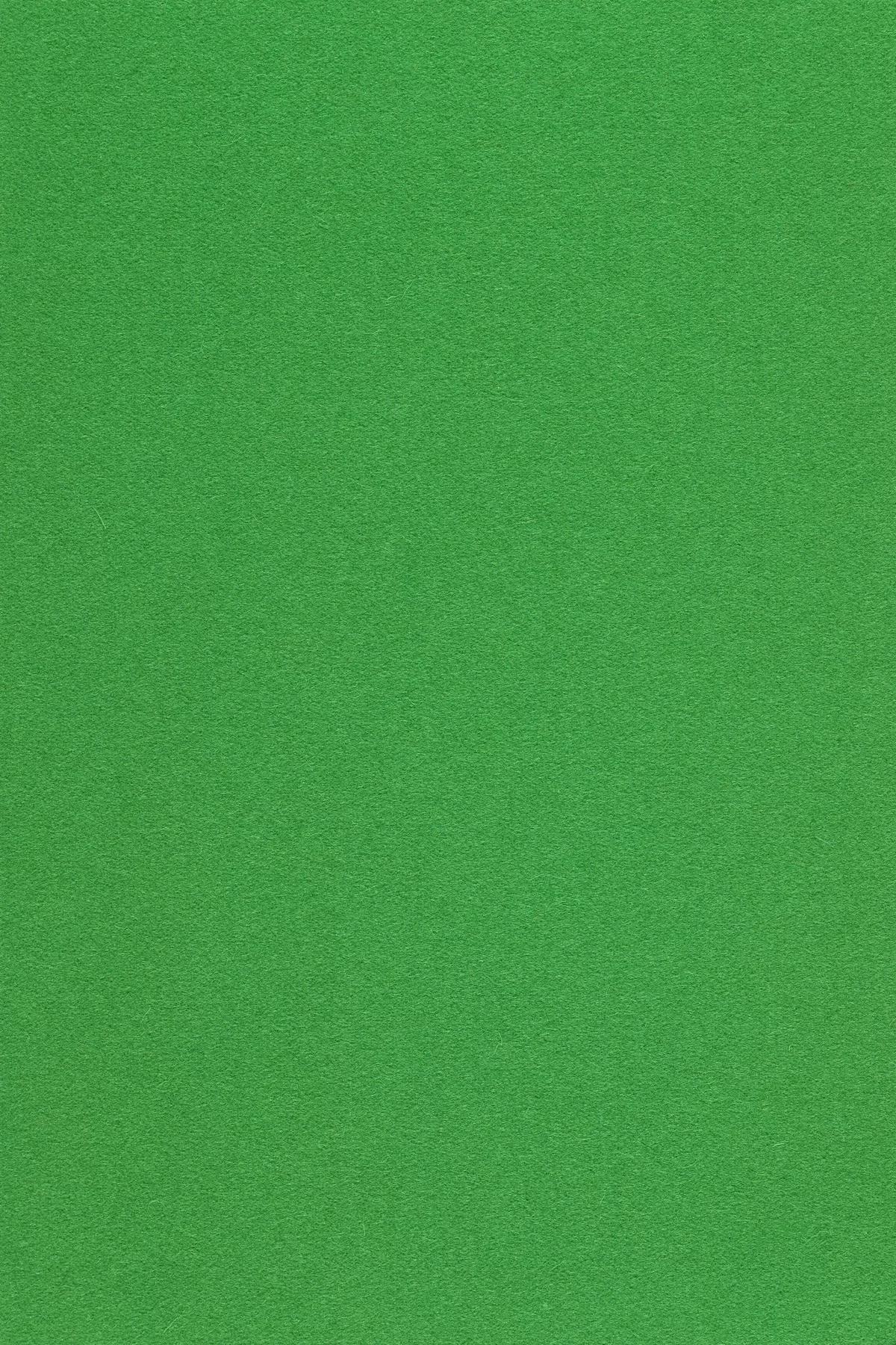 Fabric sample Divina 3 922 green
