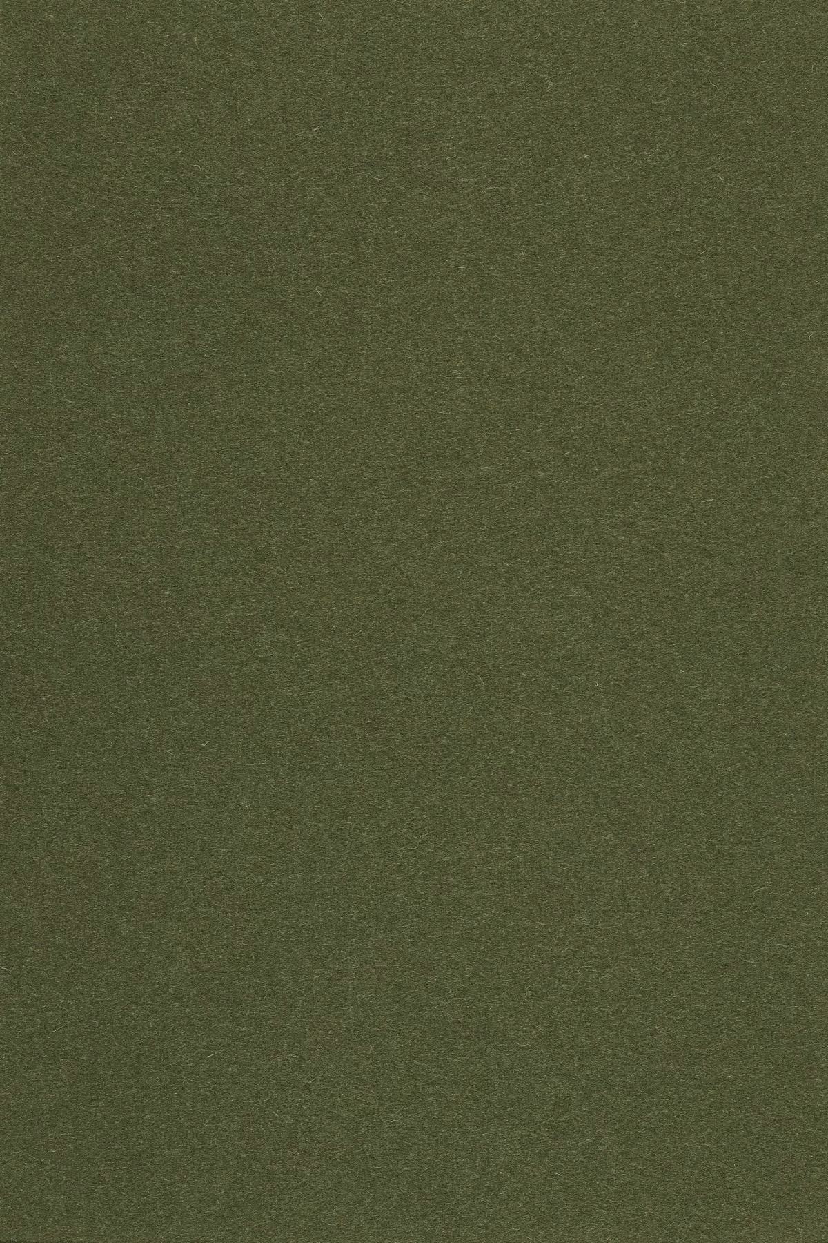 Fabric sample Divina 3 984 green