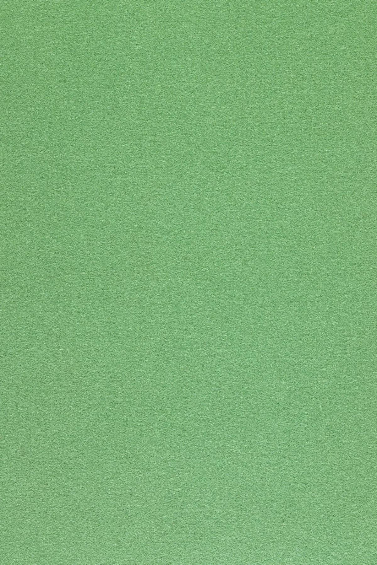 Fabric sample Divina 3 966 green