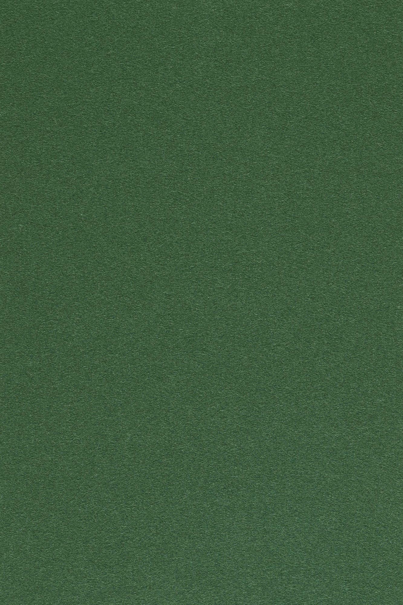 Fabric sample Divina 3 876 green