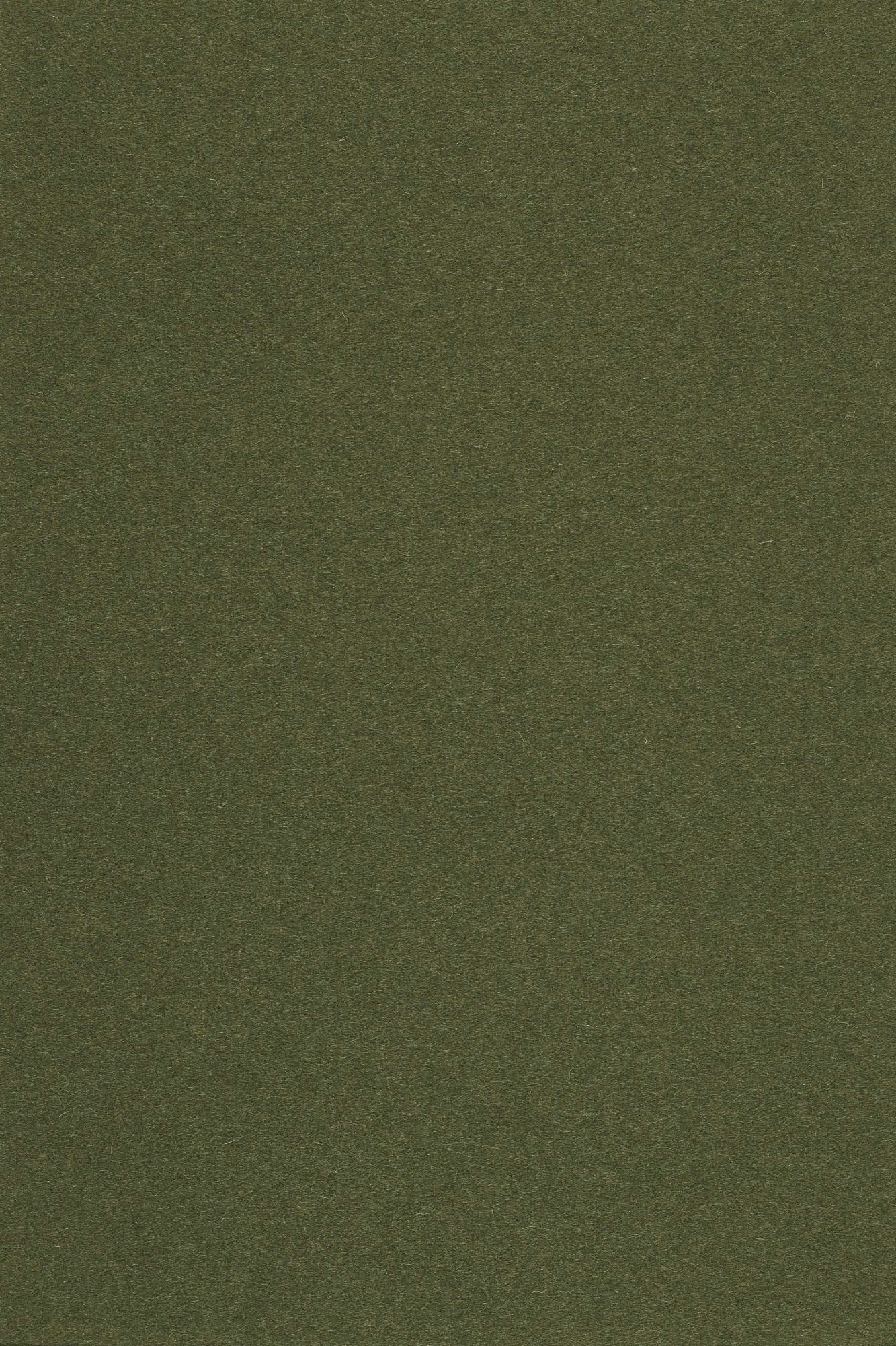 Fabric sample Divina 3 984 green